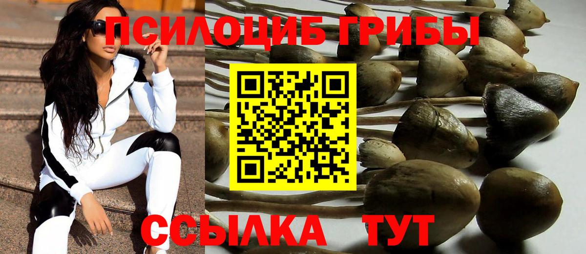 Галлюциногенные грибы MAGIC MUSHROOMS Люберцы